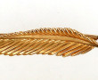 Broche plume en or jaune, poinçon tête d
