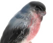 Perroquet branché, sujet en porcelaine, 