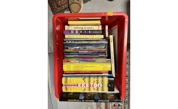 Thème BRETAGNE - Lot de livres dont Dict