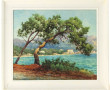 Ecole Xxème "Paysage de Méditerranée, Be