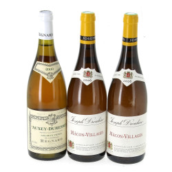 Lot de 3 bouteilles: - 1 B AUXEY DURES