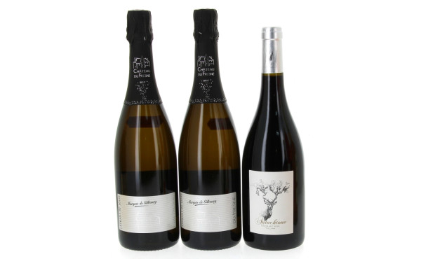 Lot de 3 bouteilles: - 1 B rouge IGP Gr