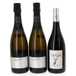 Lot de 3 bouteilles: - 1 B rouge IGP Gr