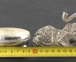 Boîte à bétel en argent en forme d'éléph