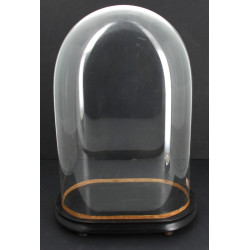 Globe en verre sur sa base en bois noirc