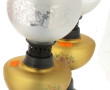 Paire de lampes à pétrole électifiées, r