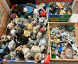 CHATS - Collections de chats, différente
