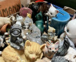 CHATS - Collections de chats, différente