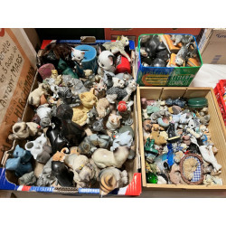 CHATS - Collections de chats, différente