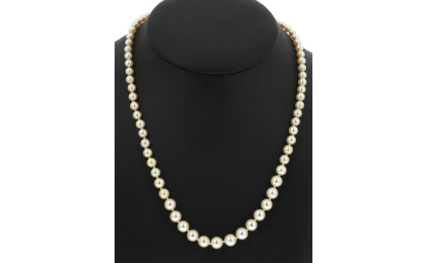 Collier de 71 perles de culture en chute