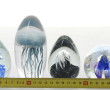 Lot de 4 boules presse-papier en verre d