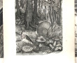 Jean Baptiste TAVY NOTTON (1914-1977) - 