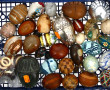 Petite collection d'œufs de différentes 