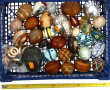 Petite collection d'œufs de différentes 
