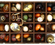 Petite collection d'œufs de différentes 