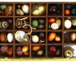 Petite collection d'œufs de différentes 