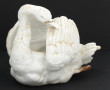 Boîte poule avec poussin en biscuit et p