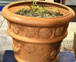 Grand pot de jardin en terre cuite (un é