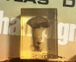 CHAMPIGNONS - Ensemble de champignons na