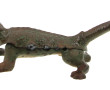 Mâche bouchons en forme de crocodile, en
