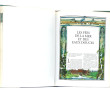 FEES - LUTINS - 2 livres: "La grande enc
