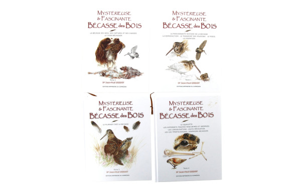 Thème CHASSE - Jean-Paul BOIDOT "Mystéri