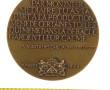 VAN GOGH - Médaille Théo et Vincent Van 