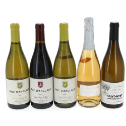 Lot de 5 bouteilles: - 3 B ROC D'ANGLAD
