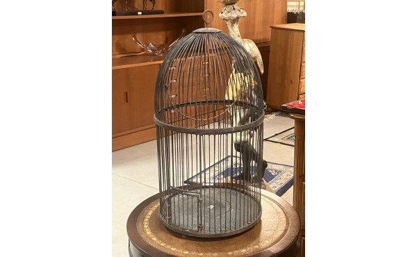 Cage à oiseaux en métal, en deux parties