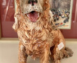 "Chien cocker", sujet en faïence polychr