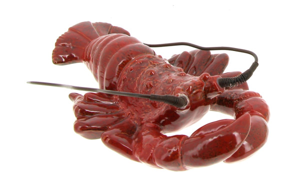 HOMARD - Sujet décoratif en faïence roug