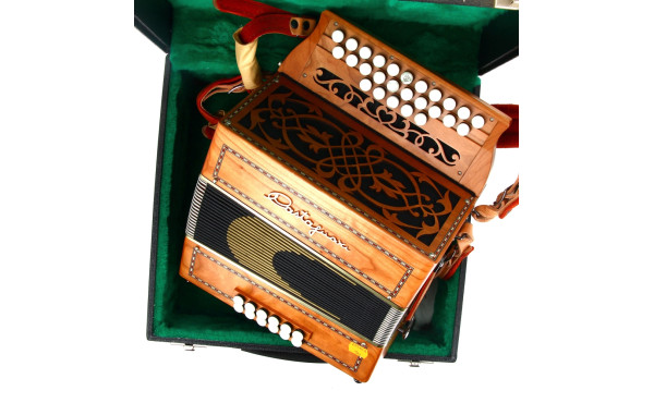 CASTAGNARI - Accordéon dans la boîte d'o