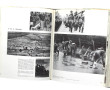 Pierre LAZAREFF (sous la direction de) -