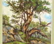 Albert GAPP (Xxème) "Paysage au gros arb