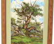 Albert GAPP (Xxème) "Paysage au gros arb