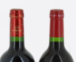 Lot de 2 bouteilles: - B LES FIEFS DE L