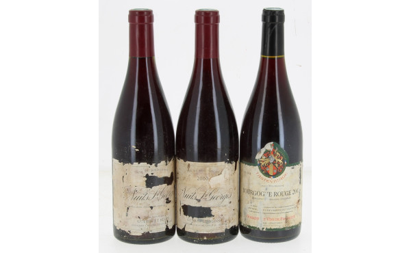 Lot de 3 bouteilles de BOURGOGNE: - 2 B