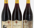 3 B ALOXE CORTON 2007 Cellier de la Viei