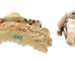 Netsuké et petite statuette polychromes