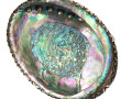 Coupe en nacre et monture argent 925ème,