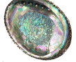 Coupe en nacre et monture argent 925ème,