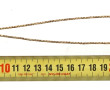 Collier en or jaune à motif de coulissea