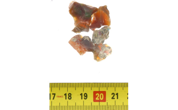 5 opales brutes, poids 37 carats