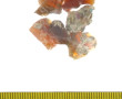5 opales brutes, poids 37 carats