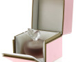 NINA RICCI - FILLE D'EVE - Flacon pomme 