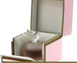 NINA RICCI - FILLE D'EVE - Flacon pomme 