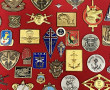 INSIGNES MARINE NATIONALE - Panneau de p
