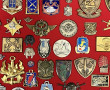 INSIGNES MARINE NATIONALE - Panneau de p