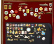 Collection d'insignes fantaisie de la Ma