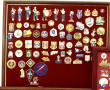 Collection d'insignes fantaisie de la Ma
